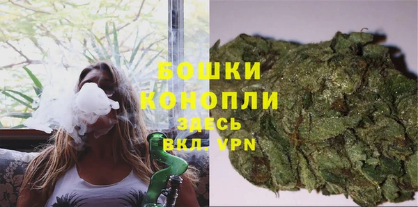 дурь Богородск